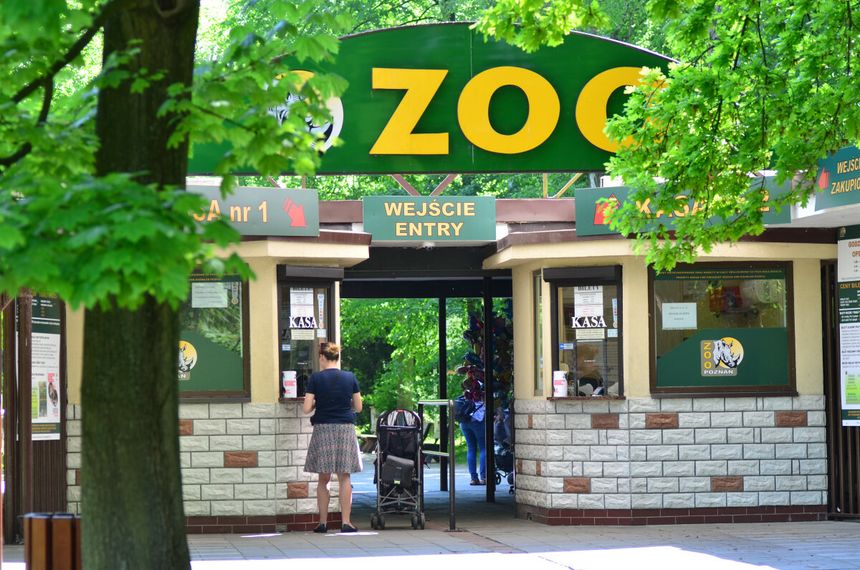 Zoo w Poznaniu