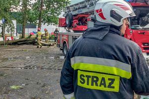 strażacy