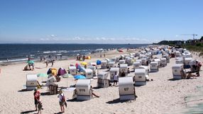 bałtyk zakażenie przecinkowcem