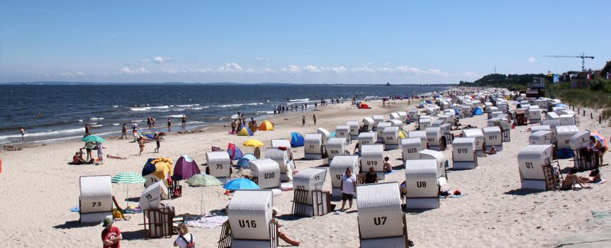 bałtyk zakażenie przecinkowcem