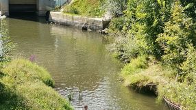 Niebezpieczna kąpiel