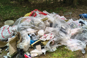 Śmieci w lesie