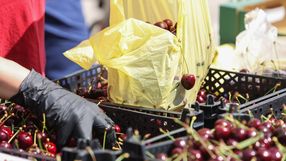 W polskich czereśniach wykryto zakazane pestycydy