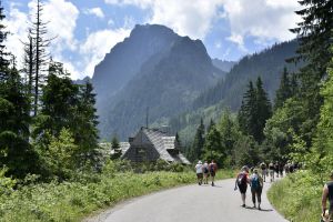Tatry latem