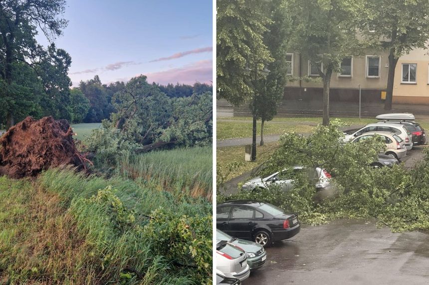 Powalone drzewa na ulicach Złotowa i okolic
