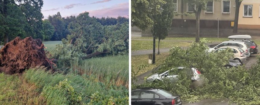 Powalone drzewa na ulicach Złotowa i okolic