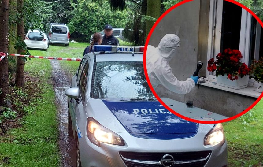 policja