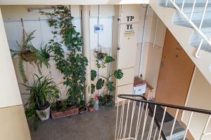 Jak złodzieje planują włamania? Poznaj ich metody