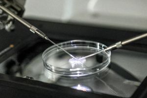 laboratorium