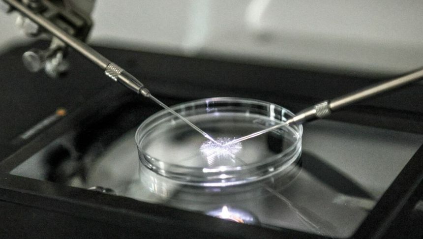 laboratorium
