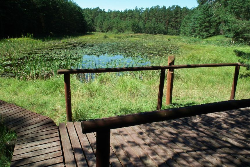 Pętla Lipnickiego