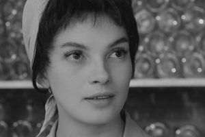 Ewa Krzyżewska