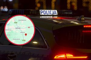 policja