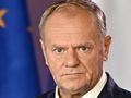 tusk