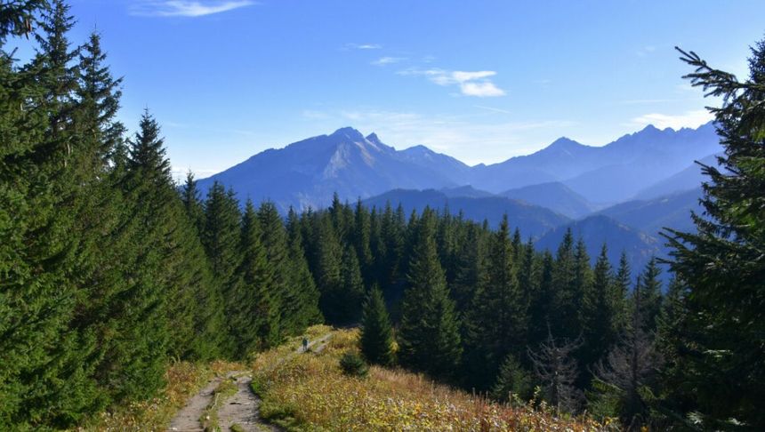 Tatry