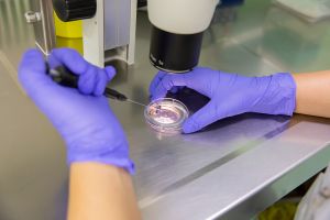 Wymuszone ojcostwo: Polak pozywa klinikę