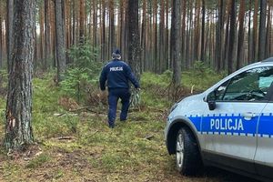 policja