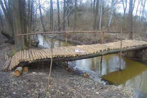 nielegalny most w Puszczy Słupeckiej