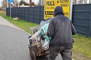 Bezrobocie