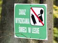 śmieci w lesie
