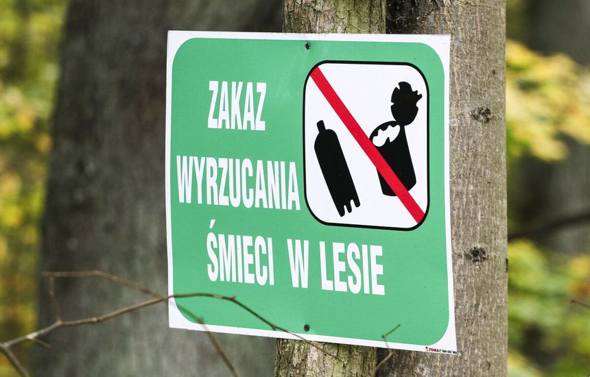 śmieci w lesie