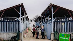 Schronisko we Wrocławiu