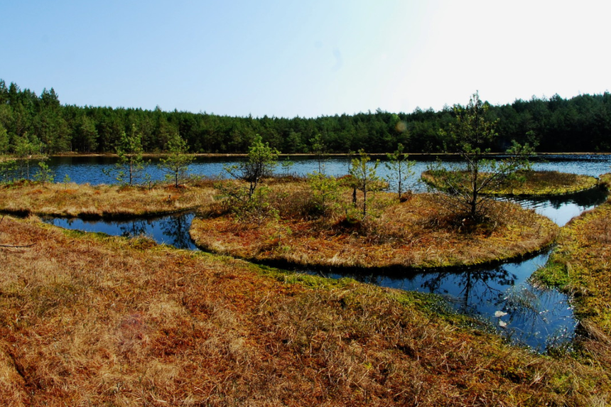 Jeziorka Kozie