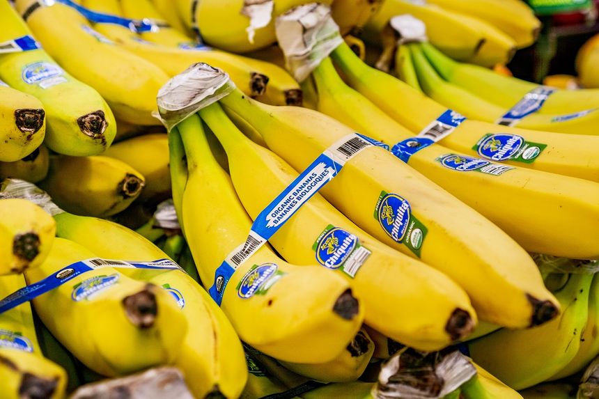 Chiquita zamyka farmy w Panamie