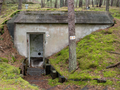 schron w lesie 