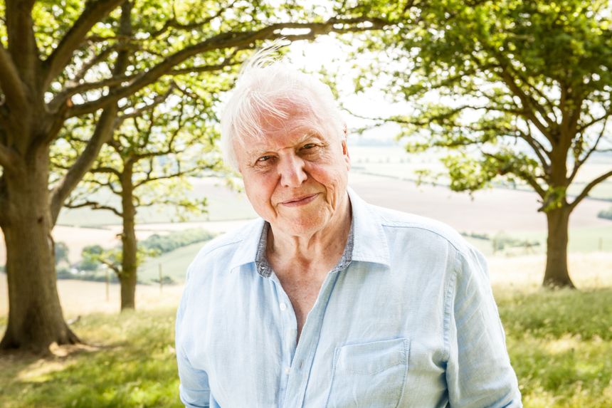 David Attenborough