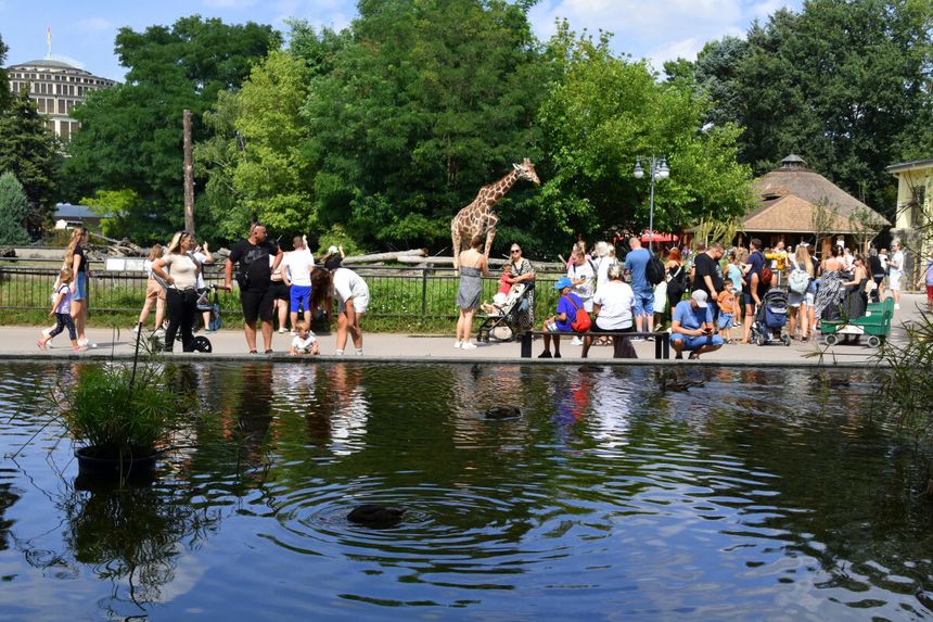 ZOO Wrocław