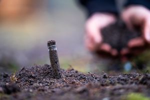 Nowy antybiotyk z Kanady może zwalczyć oporne bakterie