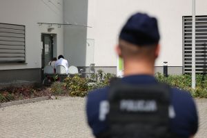 policja
