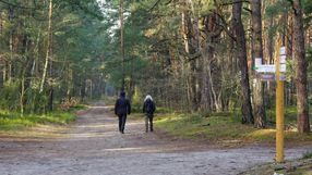 Straż leśna w Polsce prowadzi akcję 'Wieniec'