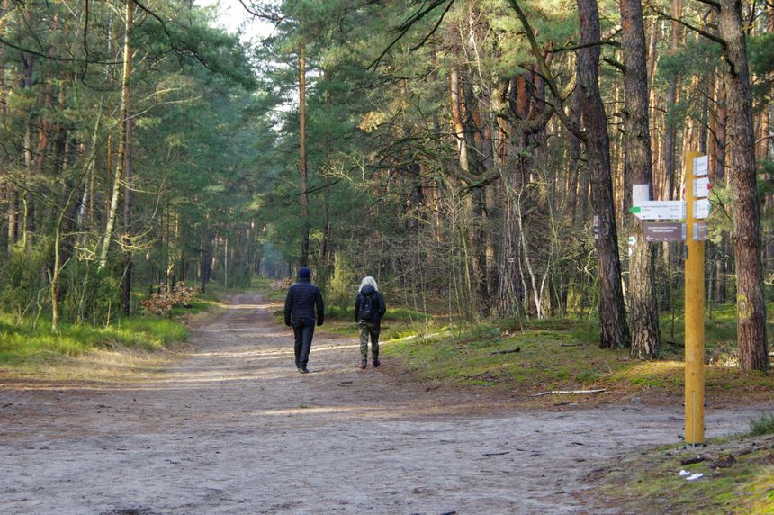 Straż leśna w Polsce prowadzi akcję 'Wieniec'