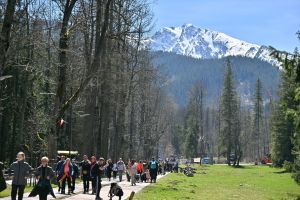 Niedźwiedzie w Tatrach budzą się z zimowego snu