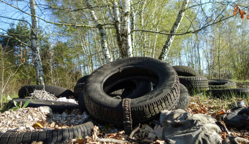 Tyle opon trafia do polskich lasów