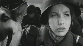 Kadr z serialu "Czterej pancerni i pies"