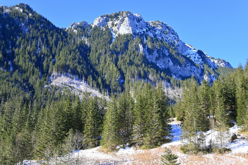 Tatry