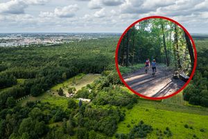 Las Kabacki - rowerzyści