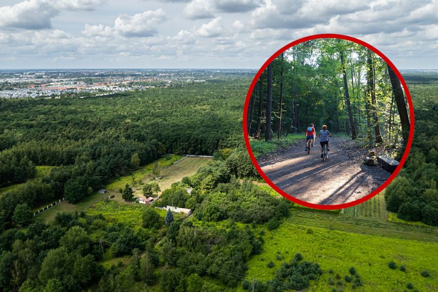 Las Kabacki - rowerzyści