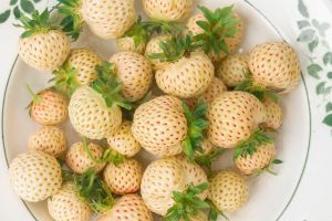 Dlaczego pineberry jest tak droga?