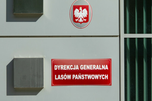 Lasy Państwowe dostaną duże pieniądze