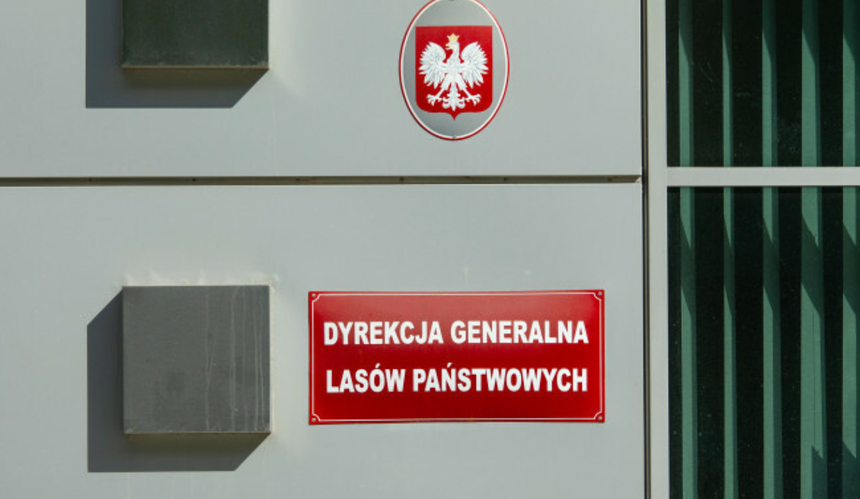 Lasy Państwowe dostaną duże pieniądze