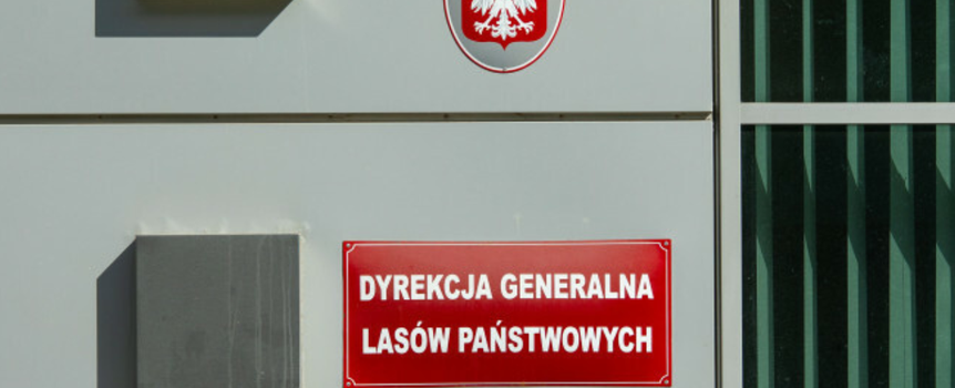 Lasy Państwowe dostaną duże pieniądze