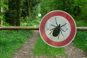 znak ostrzegawczy kleszcze