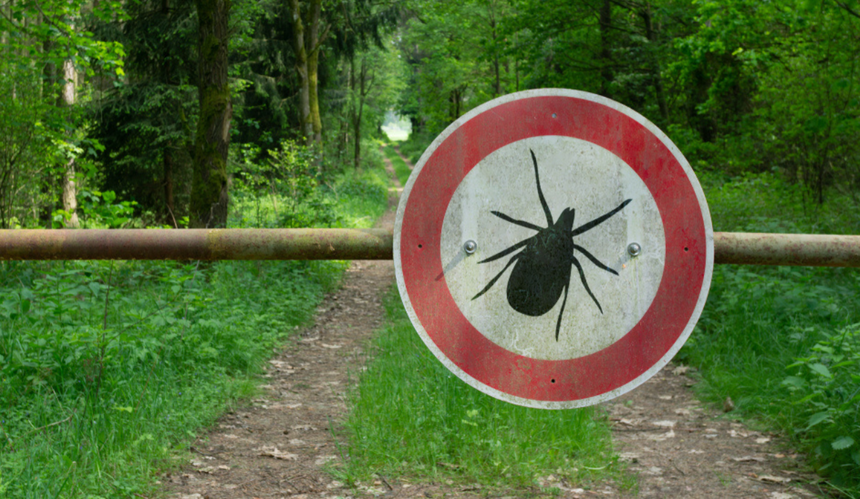 znak ostrzegawczy kleszcze