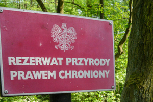 Nowe rezerwaty przyrody na Pomorzu