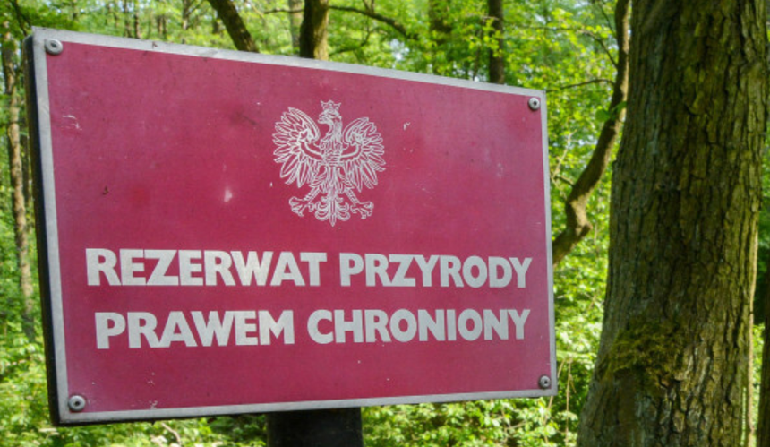 Nowe rezerwaty przyrody na Pomorzu