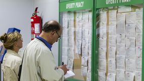 Szukanie ofert pracy